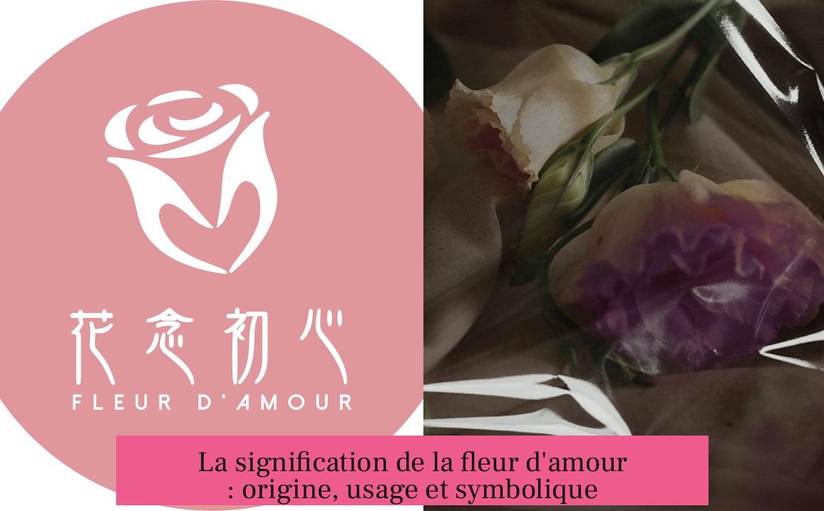 La signification de la fleur d'amour : origine, usage et symbolique