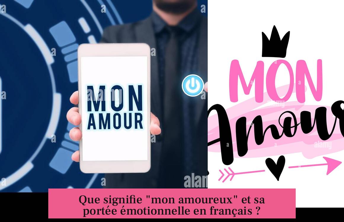 Que signifie "mon amoureux" et sa portée émotionnelle en français ?