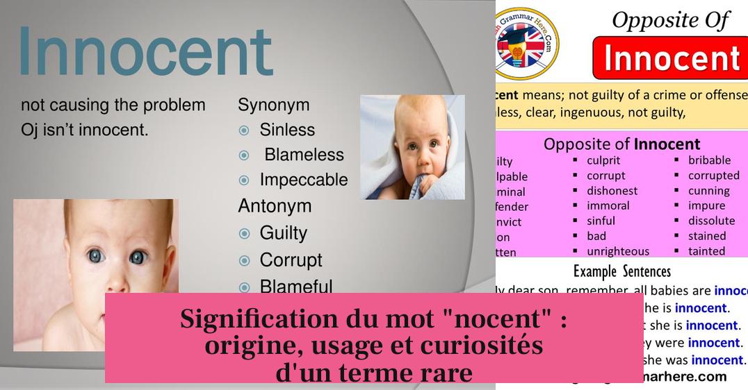 Signification du mot "nocent" : origine, usage et curiosités d'un terme rare