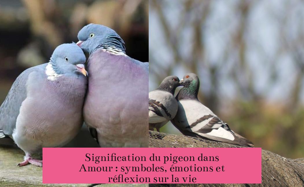 Signification du pigeon dans Amour : symboles, émotions et réflexion sur la vie