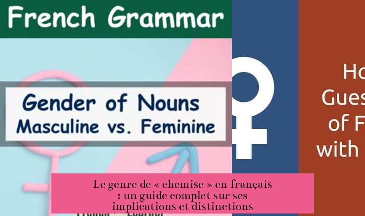 Le genre de « chemise » en français : un guide complet sur ses implications et distinctions