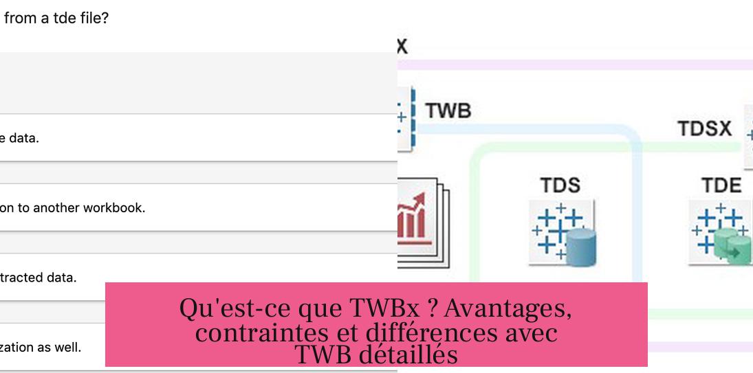 Qu'est-ce que TWBx ? Avantages, contraintes et différences avec TWB détaillés