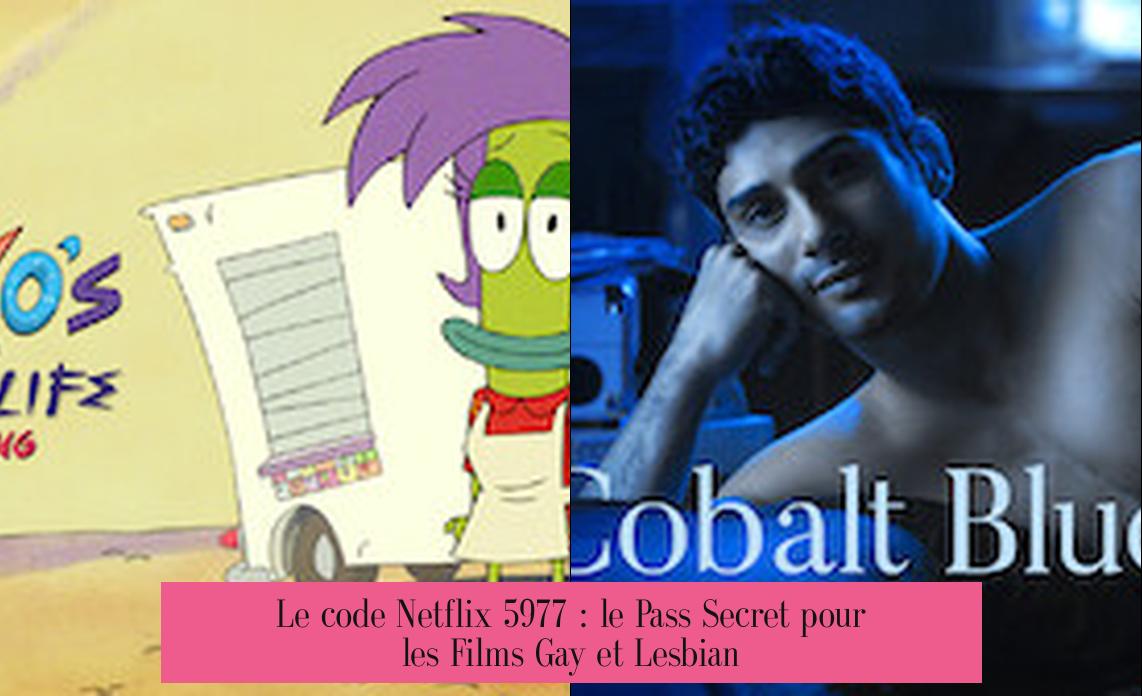Le code Netflix 5977 : le Pass Secret pour les Films Gay et Lesbian