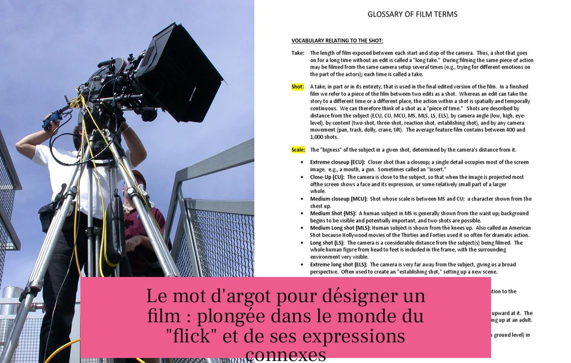 Le mot d'argot pour désigner un film : plongée dans le monde du "flick" et de ses expressions connexes