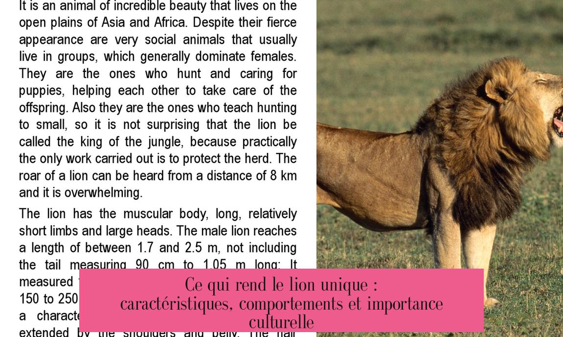 Ce qui rend le lion unique : caractéristiques, comportements et importance culturelle