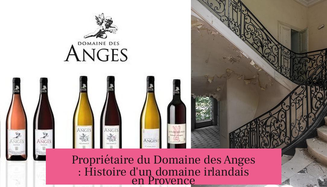 Propriétaire du Domaine des Anges : Histoire d'un domaine irlandais en Provence