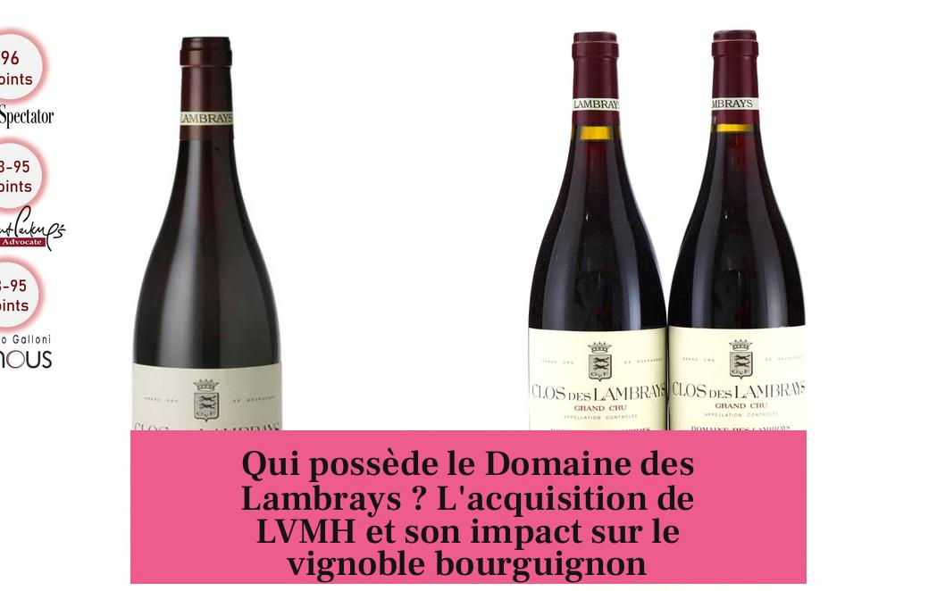 Qui possède le Domaine des Lambrays ? L'acquisition de LVMH et son impact sur le vignoble bourguignon