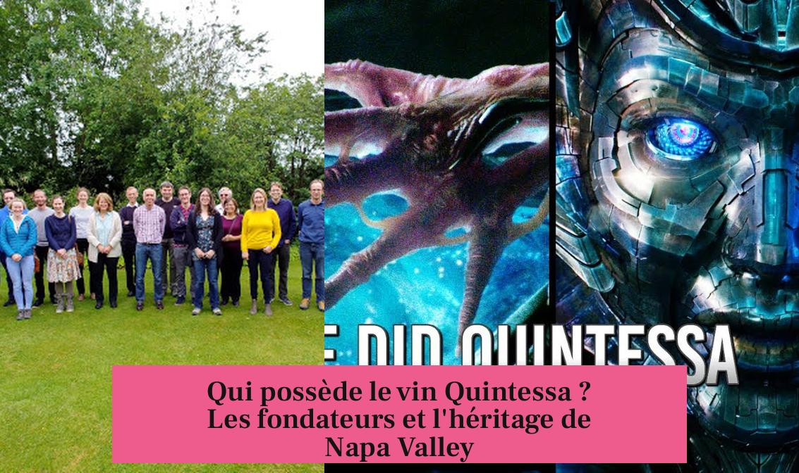 Qui possède le vin Quintessa ? Les fondateurs et l'héritage de Napa Valley