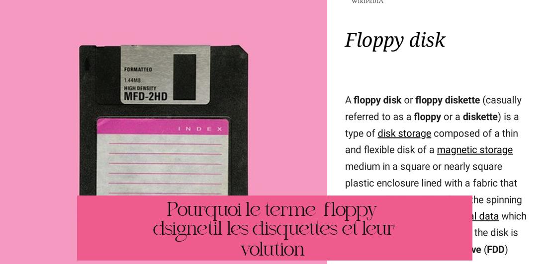 Pourquoi le terme « floppy » désigne-t-il les disquettes et leur évolution ?