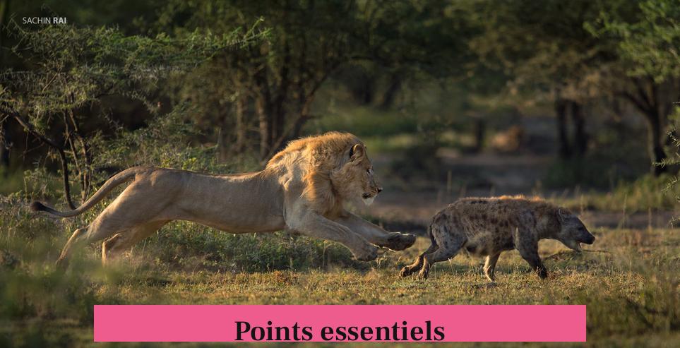 Points essentiels
