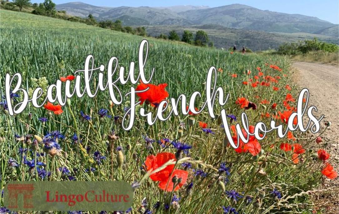 Entre amis, membres de la famille ou proches, les expressions sont moins formelles, plus chaleureuses.
