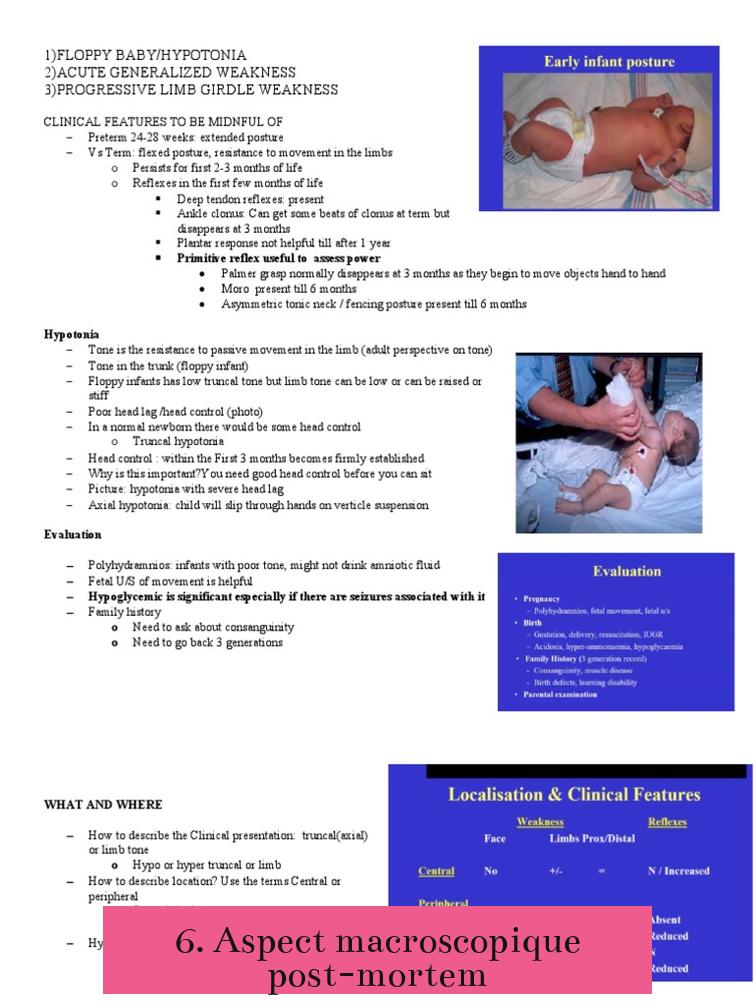 6. Aspect macroscopique post-mortem