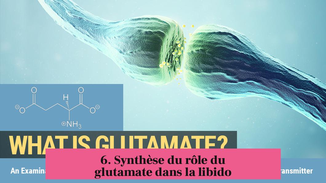 6. Synthèse du rôle du glutamate dans la libido