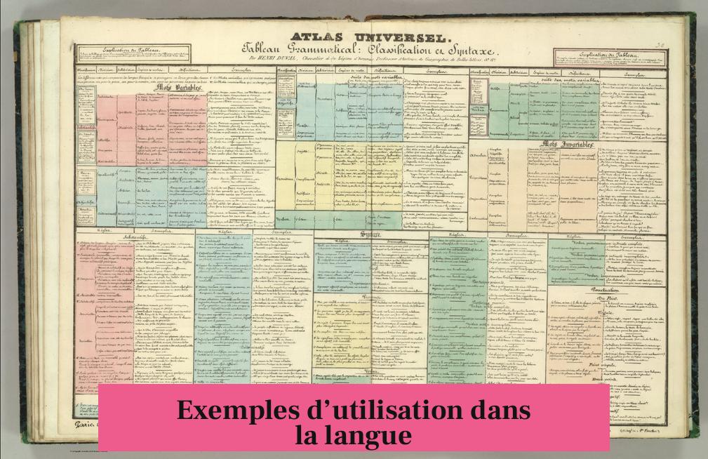 Exemples d’utilisation dans la langue