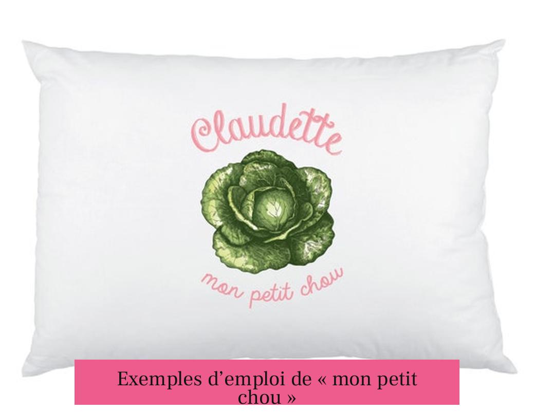 Exemples d’emploi de « mon petit chou »