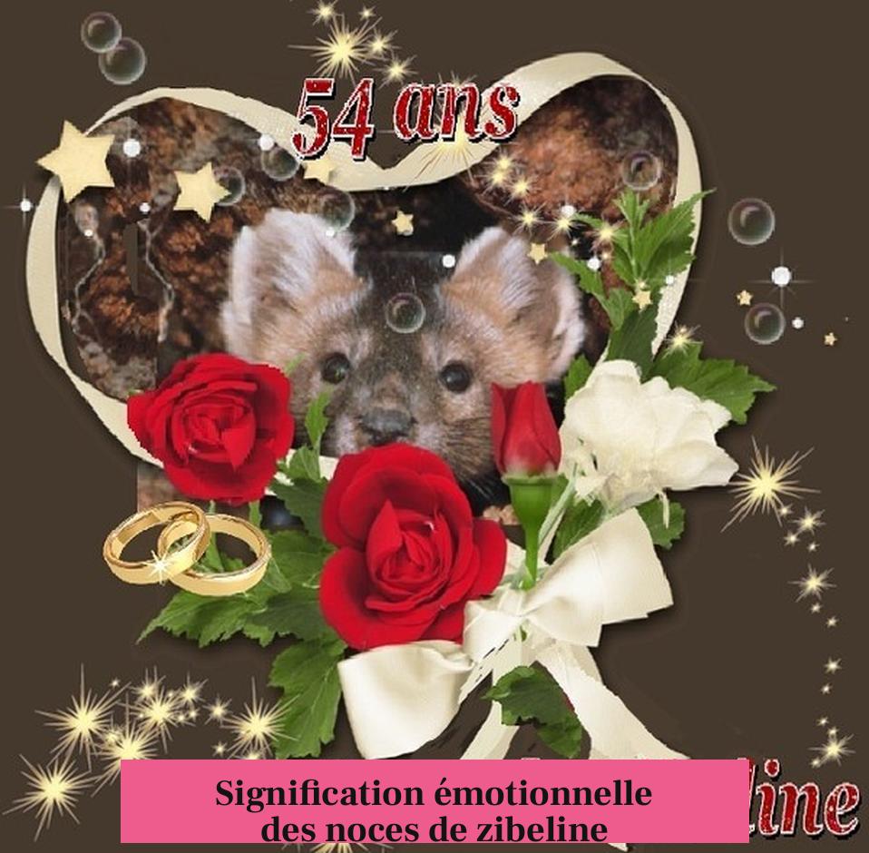 Signification émotionnelle des noces de zibeline