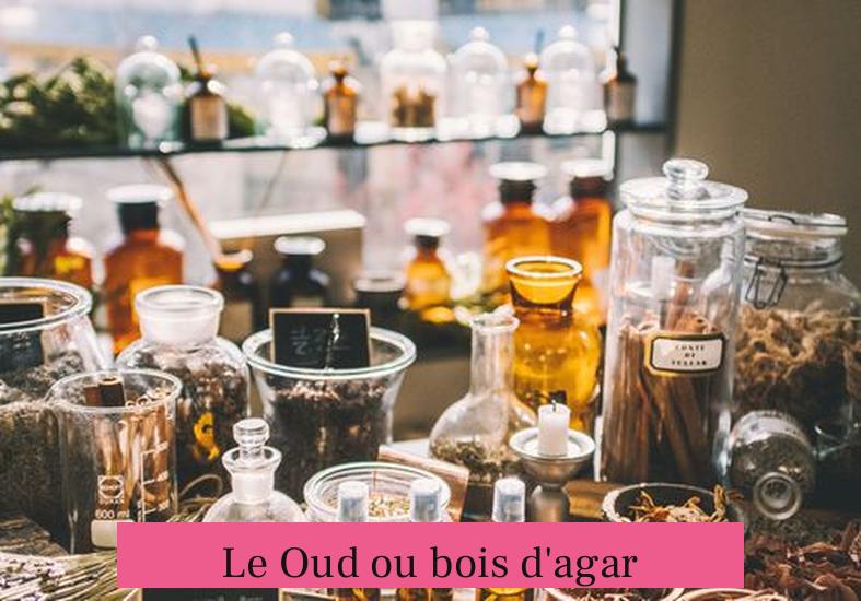 Le Oud ou bois d'agar