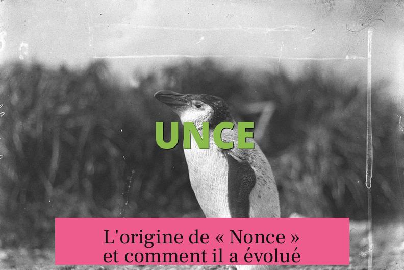 L'origine de « Nonce » et comment il a évolué