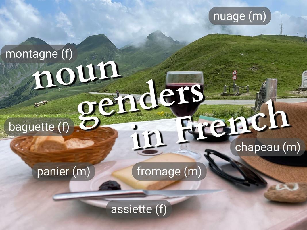 L’origine du mot « bras » : une clé pour comprendre son genre