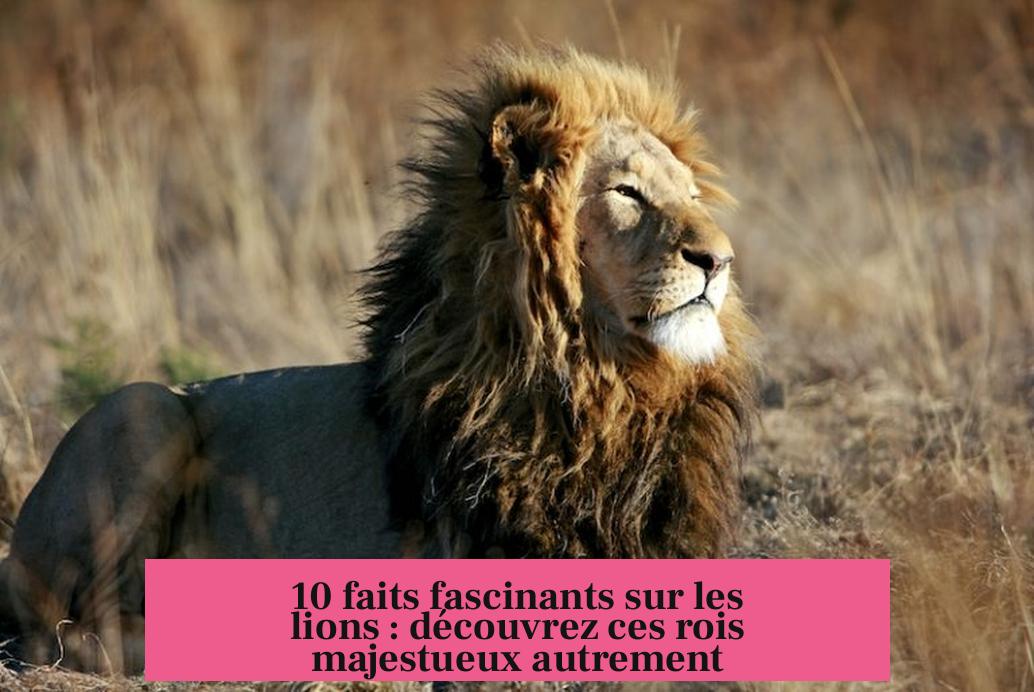 10 faits fascinants sur les lions : découvrez ces rois majestueux autrement