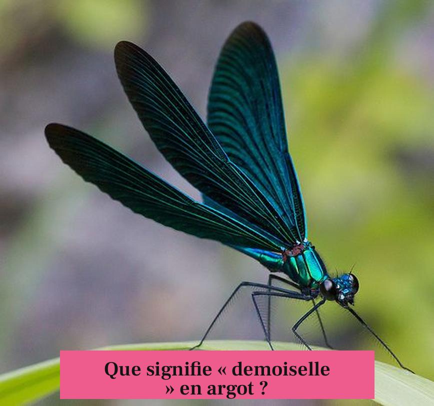 Que signifie « demoiselle » en argot ?