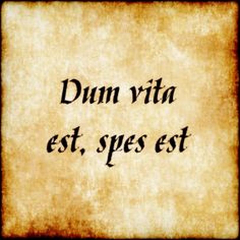 En conclusion