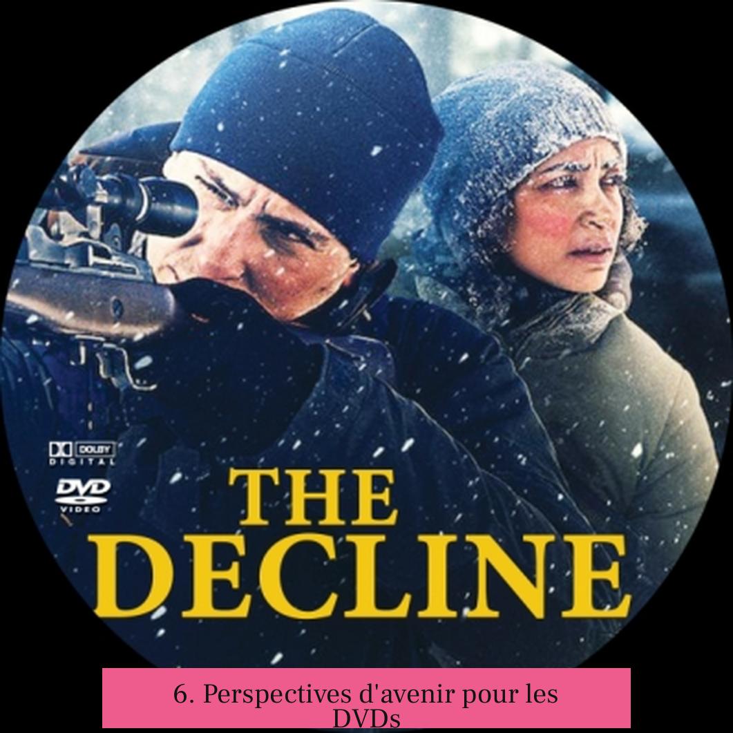 6. Perspectives d'avenir pour les DVDs