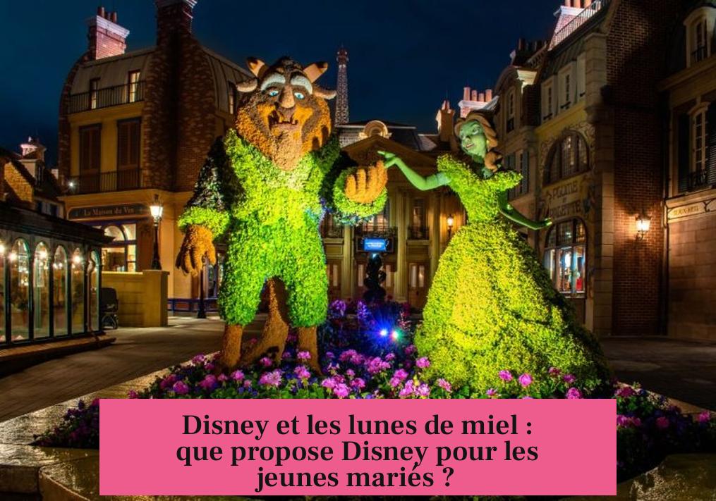 Disney et les lunes de miel : que propose Disney pour les jeunes mariés ?
