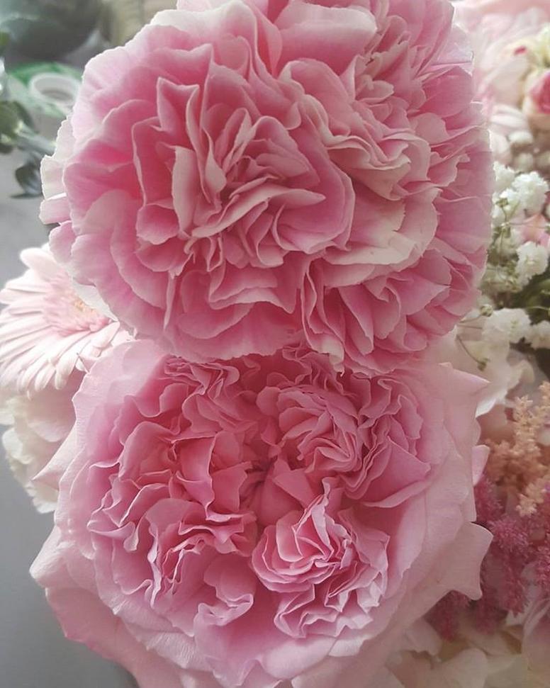 1. Choisir des fleurs adaptées : privilégier les fleurs de saison et locales