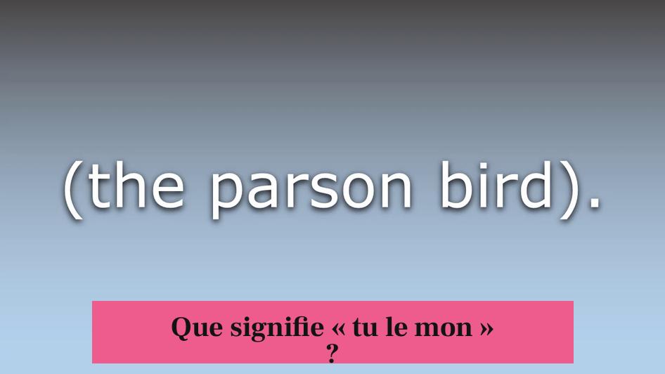 Que signifie « tu le mon » ?