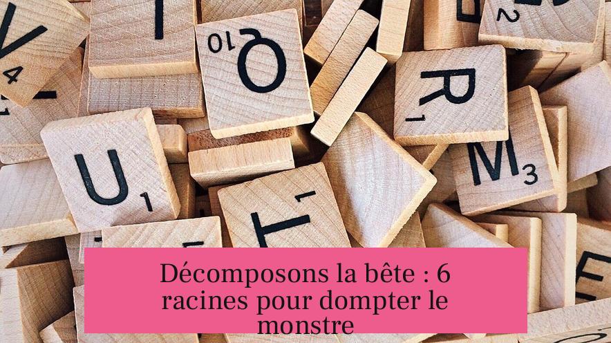 Décomposons la bête : 6 racines pour dompter le monstre