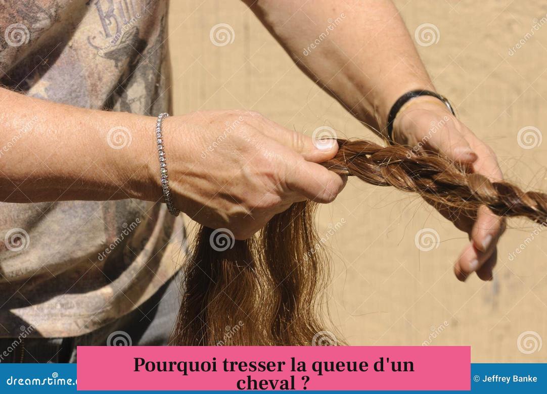 Pourquoi tresser la queue d'un cheval ?