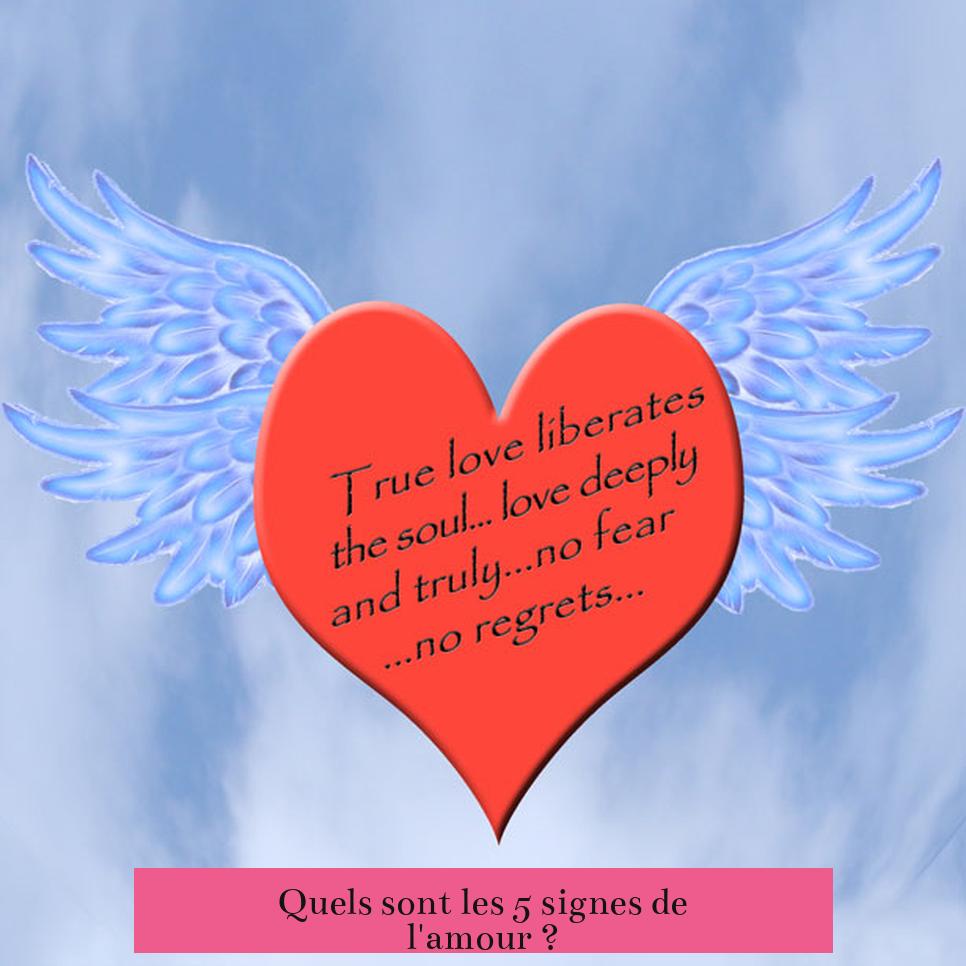 Quels sont les 5 signes de l'amour ?
