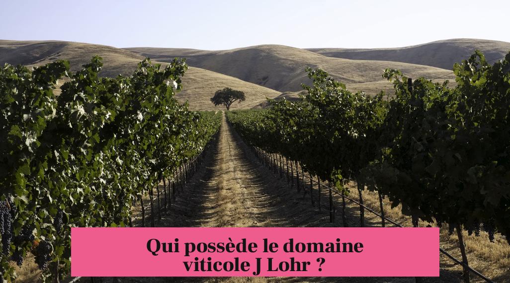 Qui possède le domaine viticole J Lohr ?