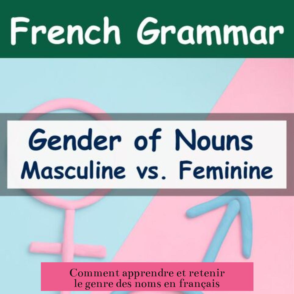 Comment apprendre et retenir le genre des noms en français
