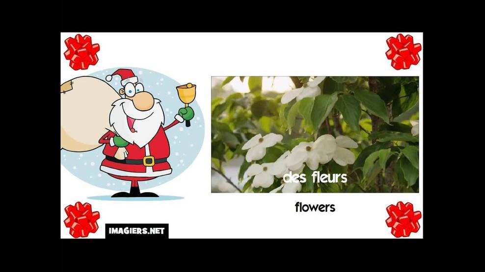 Pourquoi “fleur” est-il féminin ?