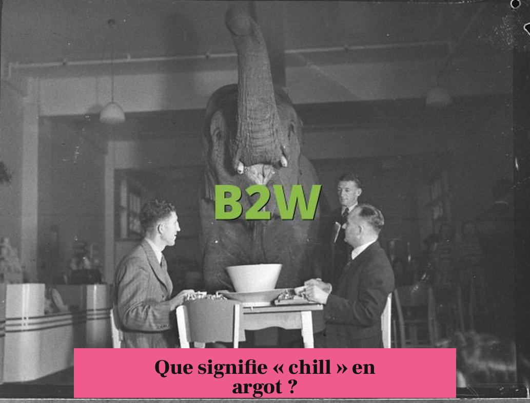 Que signifie « chill » en argot ?