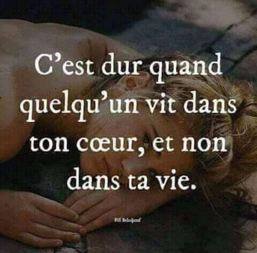 On pourrait penser qu’il s’agit de simples mots à traduire mécaniquement. Mais apprendre à utiliser correctement "Je suis ton amour" pourrait éviter des malentendus charmants ou gênants. Cela permet aussi de mieux saisir la richesse émotionnelle derrière chaque phrase.