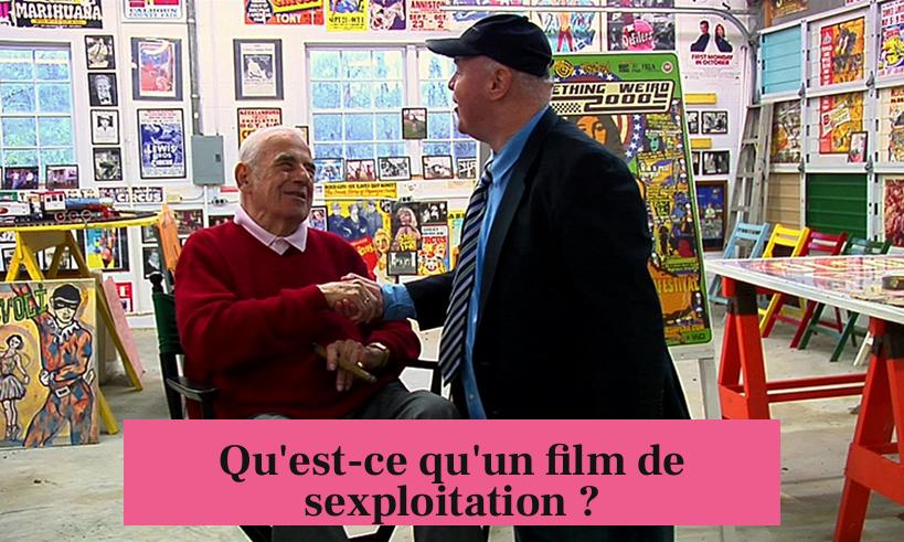Qu'est-ce qu'un film de sexploitation ?