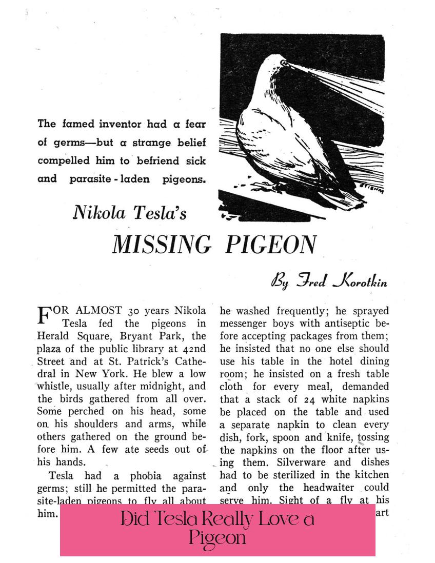 Did Tesla Really Love a Pigeon?