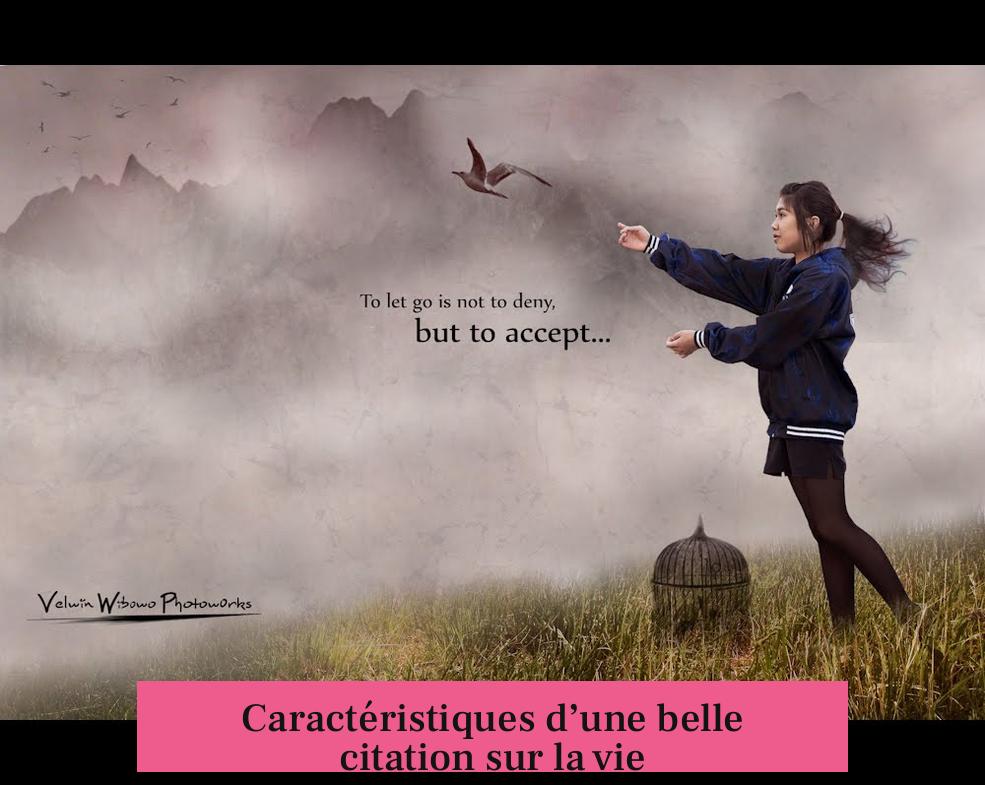Caractéristiques d’une belle citation sur la vie
