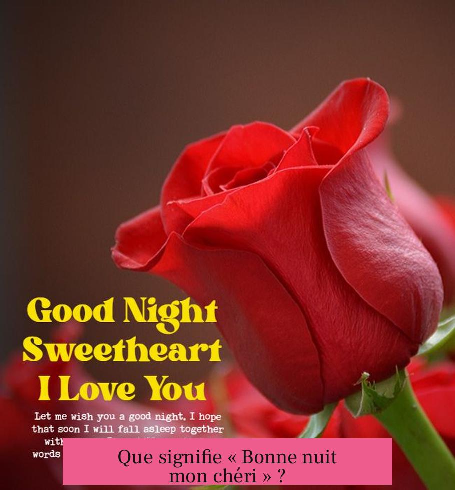 Que signifie « Bonne nuit mon chéri » ?