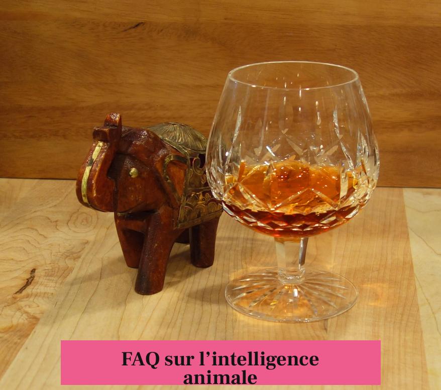 FAQ sur l’intelligence animale