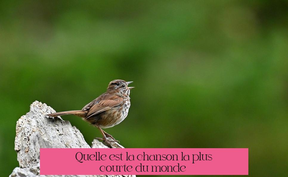 Quelle est la chanson la plus courte du monde ?