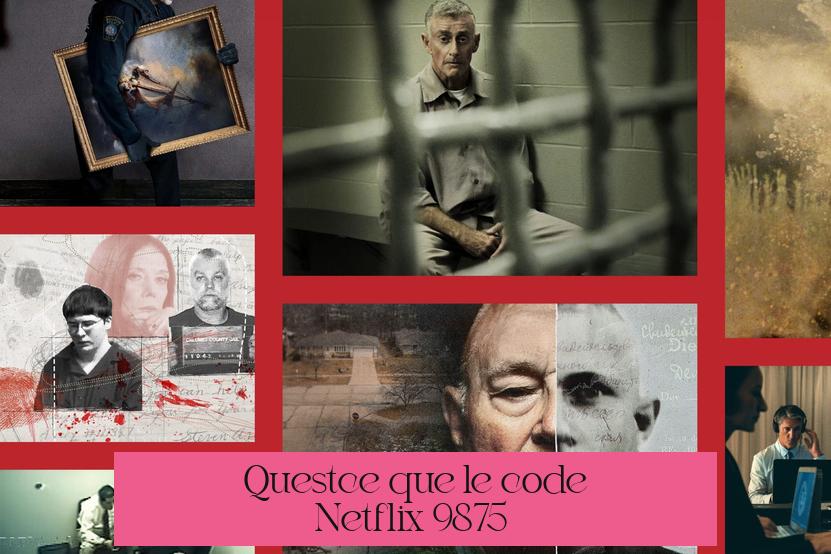 Qu'est-ce que le code Netflix 9875 ?