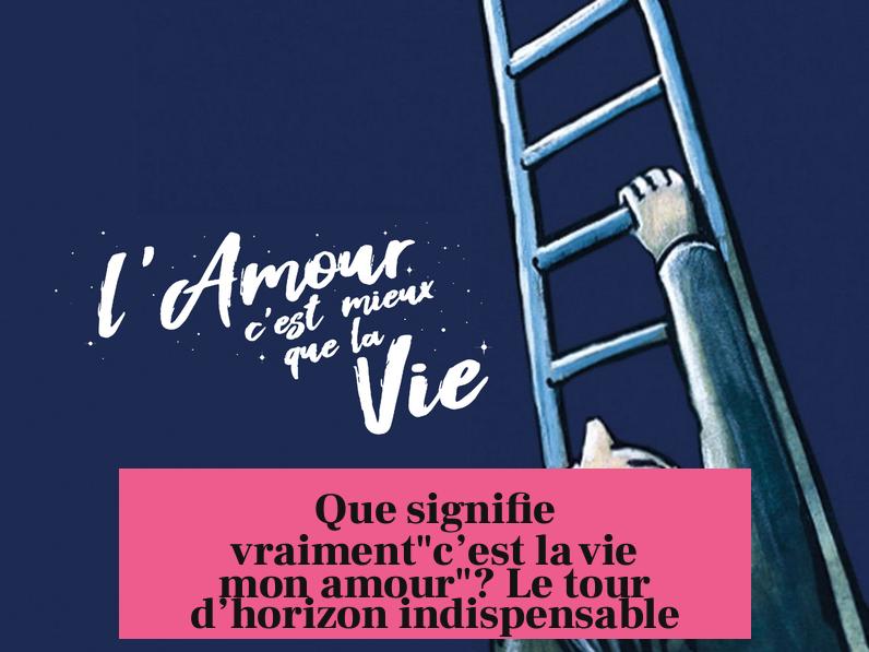 Que signifie vraiment"c’est la vie mon amour"? Le tour d’horizon indispensable