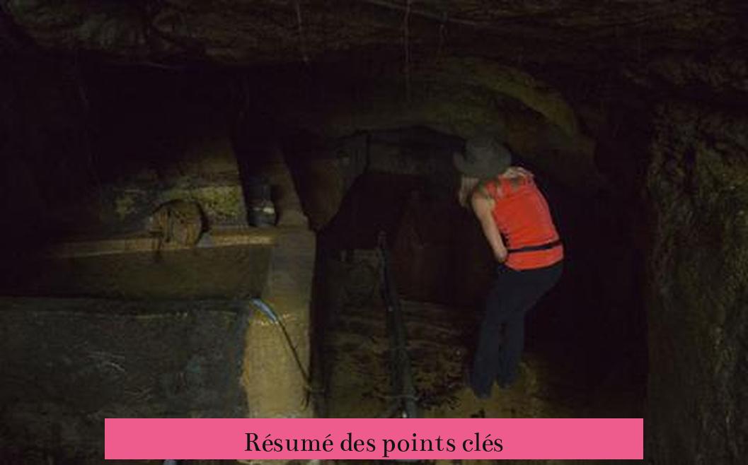 Résumé des points clés