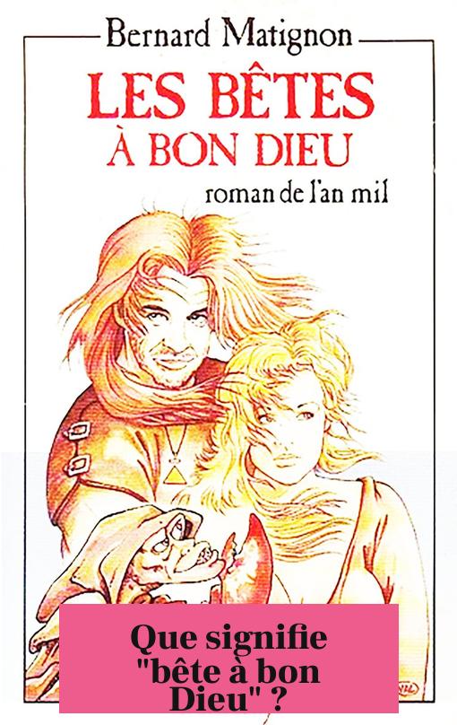 Que signifie "bête à bon Dieu" ?