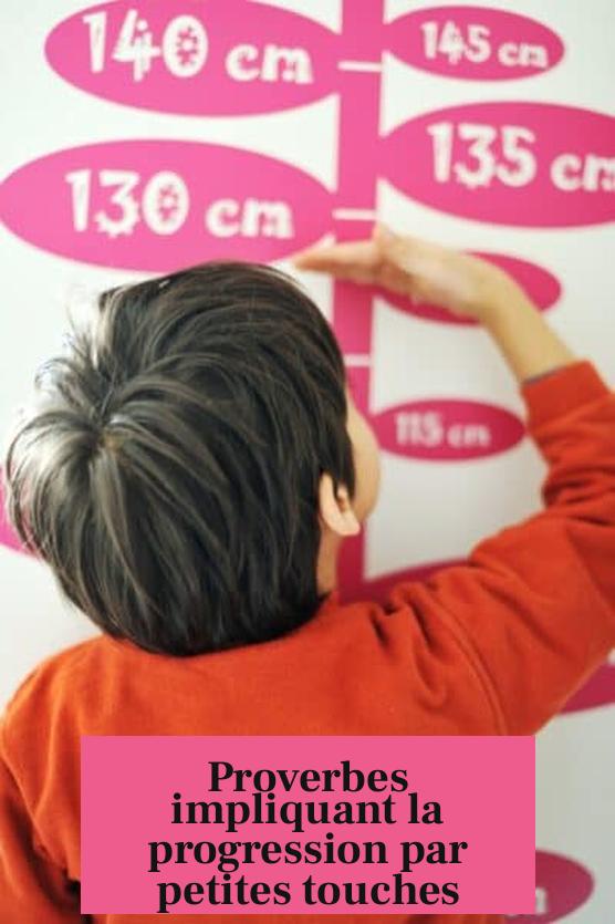 Proverbes impliquant la progression par petites touches