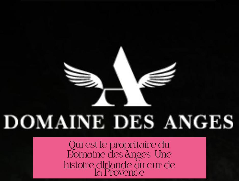 Qui est le propriétaire du Domaine des Anges ? Une histoire d’Irlande au cœur de la Provence